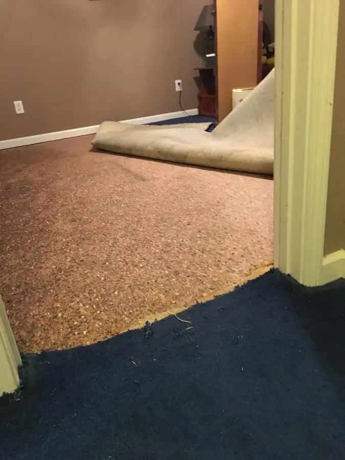 Carpet pad removal revealing water damage during Drying & Dehumidification in East Greenbush