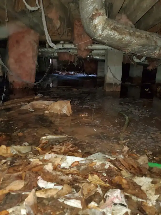 Crawl space flood assessment for Commercial Water Damage Restoration in East Greenbush