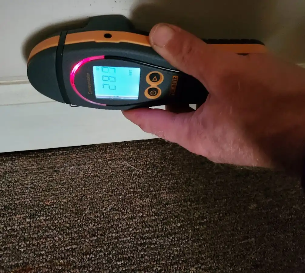 Moisture detection at baseboard during Sewage Cleanup & Sanitation in East Greenbush